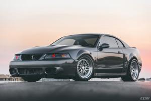 Ford Mustang SVT Cobra on CCW Wheels 2003 года